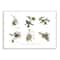 Stupell Industries Bird Nest Identification Wall Plaque